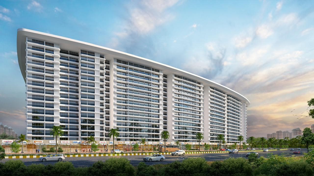 Palm Amore - Image 1